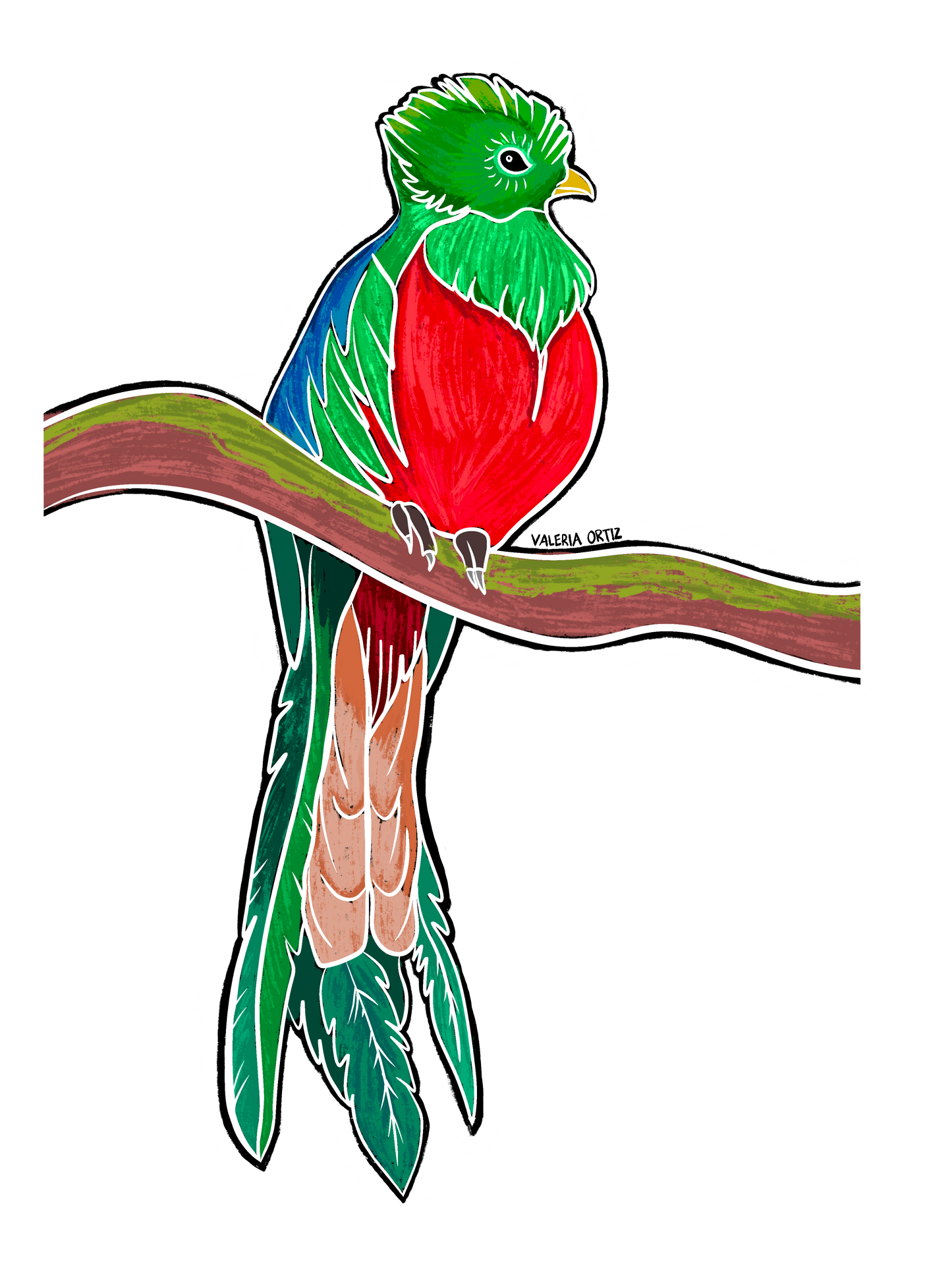 Quetzal (Sticker)
