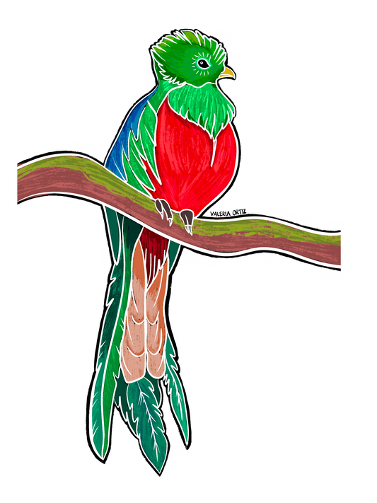 Quetzal (Sticker)
